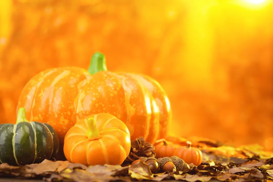 玩转感恩节大促，跨境物流助力中国品牌抢占先机|运连网·柏威国际