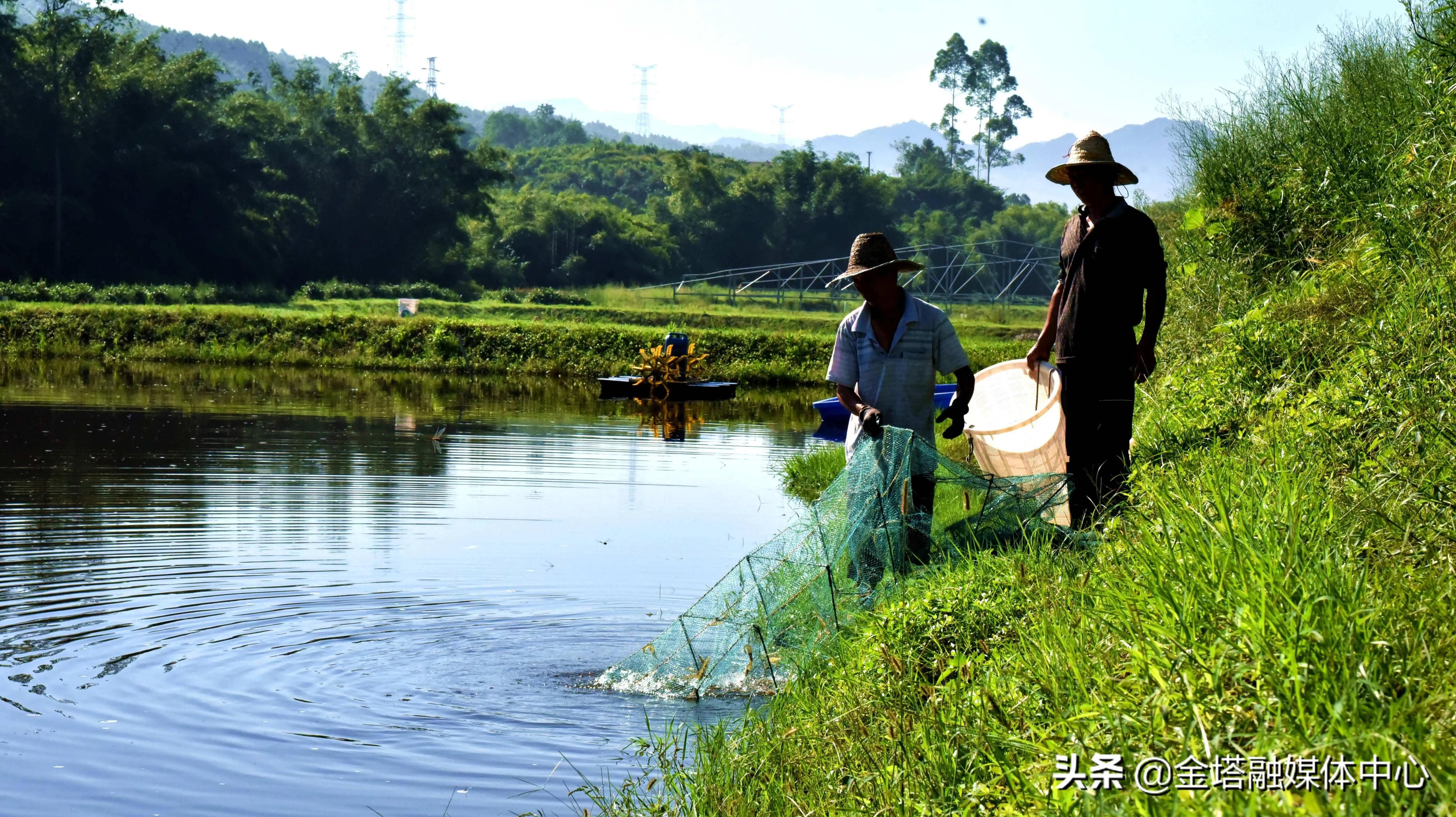 如何规划大学学习和锻炼,如何规划大学生活和今后的人生