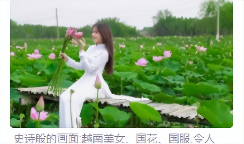 邱训华|人情风土虽相似毕竟他乡异故乡（越南纪游诗词22首新韵）