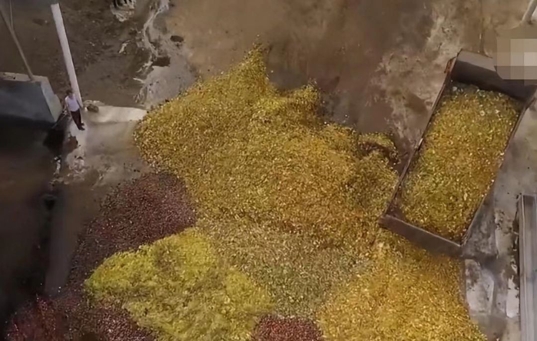 广西大叔一年赚100万,广西大叔一年赚多少