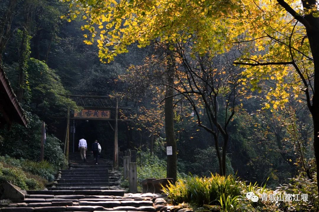抓住秋天的尾巴！都江堰必打卡的8大晚秋好去处，步青山观烟岚云岫、入古城拾千年烟火，来过都会爱上