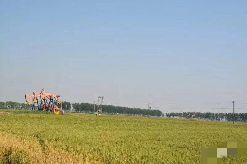 中石油安全文化理念,中石油形象标识