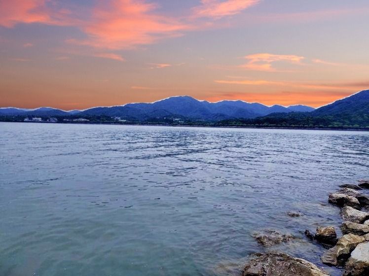 晨思暮想中年人,晨思晚语