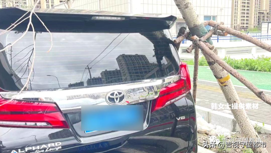 车停在小区被树砸了谁负责,车停路边被树砸伤谁负责