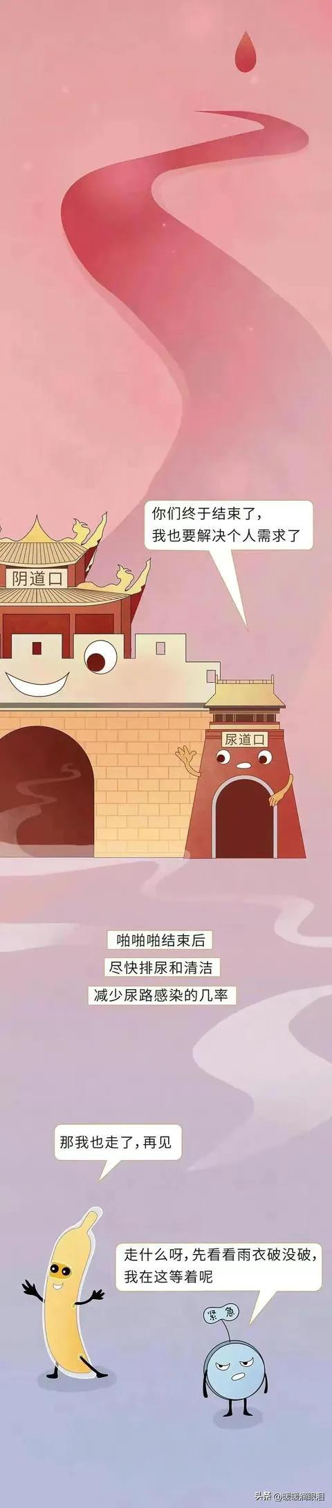 男女性知识科普,成人男性怎么了解性教育