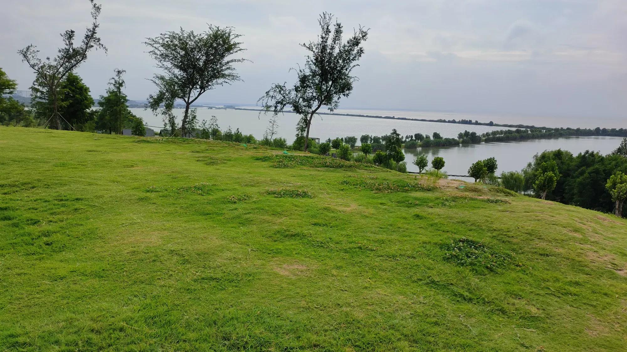 安康到合肥自驾沿途旅游景点,合肥哪些旅游景点春节期间免费