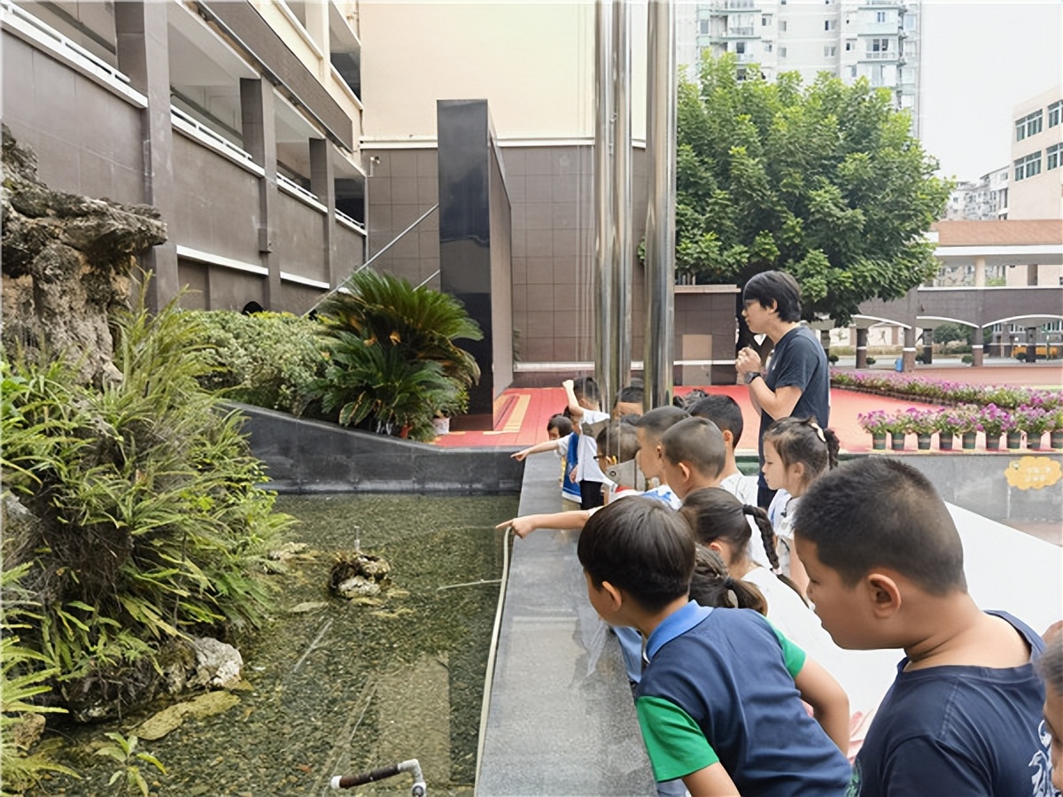 科华中路小学小升初,科华中路小学六一班