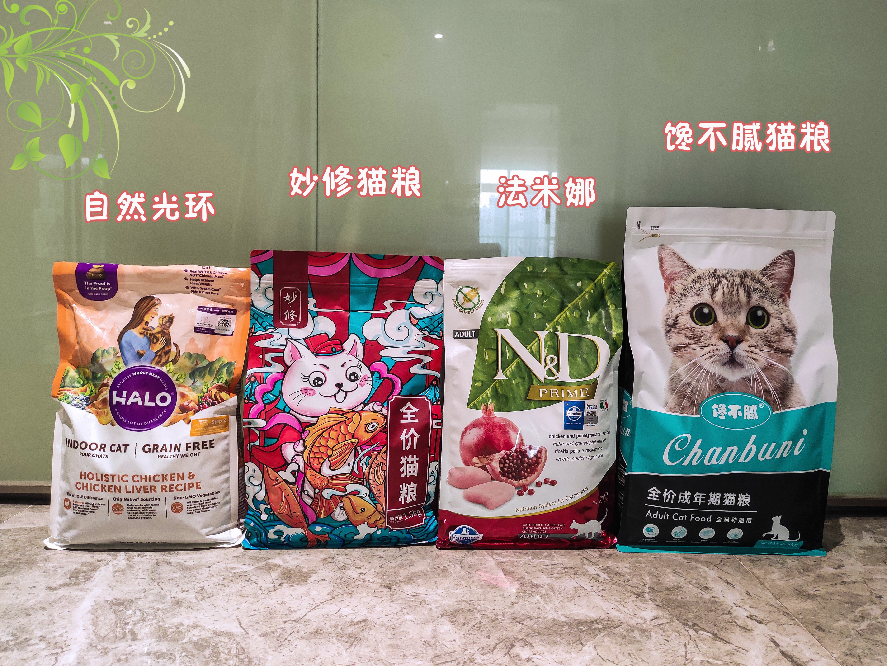 忽悠我养“简州猫”的人，你们把我给害苦了