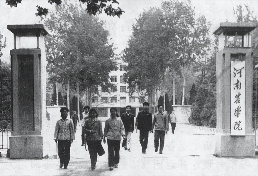 弘农文化节河南农业大学,中国农科院河南农业大学