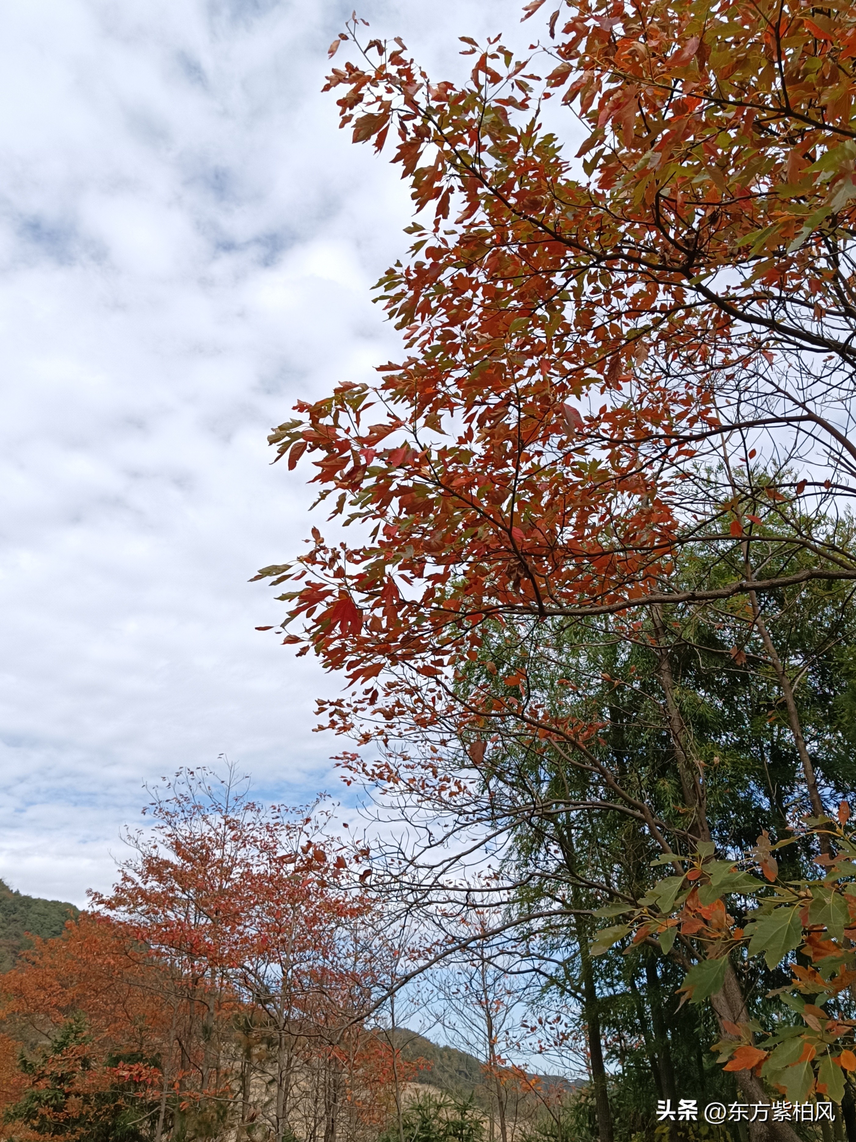 义乌大寒尖春季旅游,义乌大寒尖旅游饮食