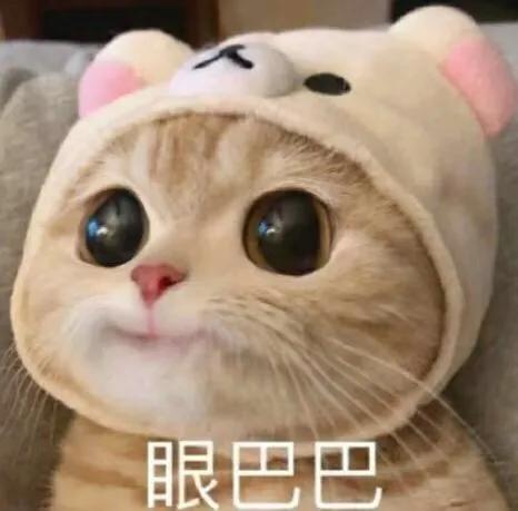 猫晚上乱尿白天不尿为什么,猫会在主人床上乱拉乱尿吗