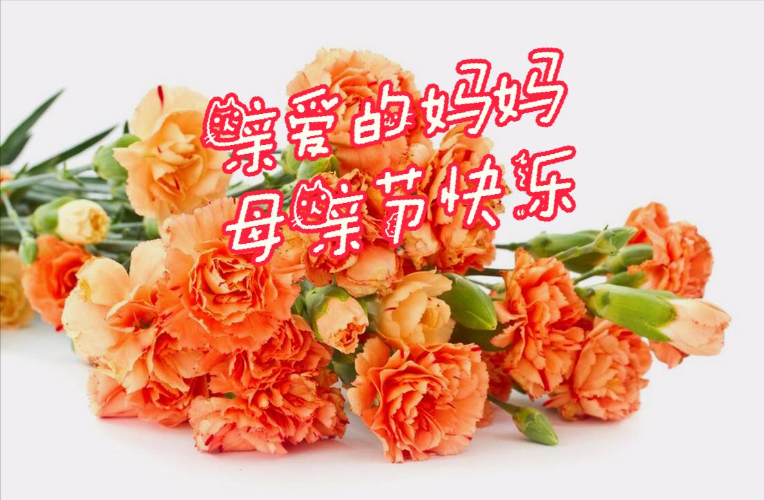 母亲节母爱胜过鲜花的美,感恩母亲节世界上唯有母爱最无私