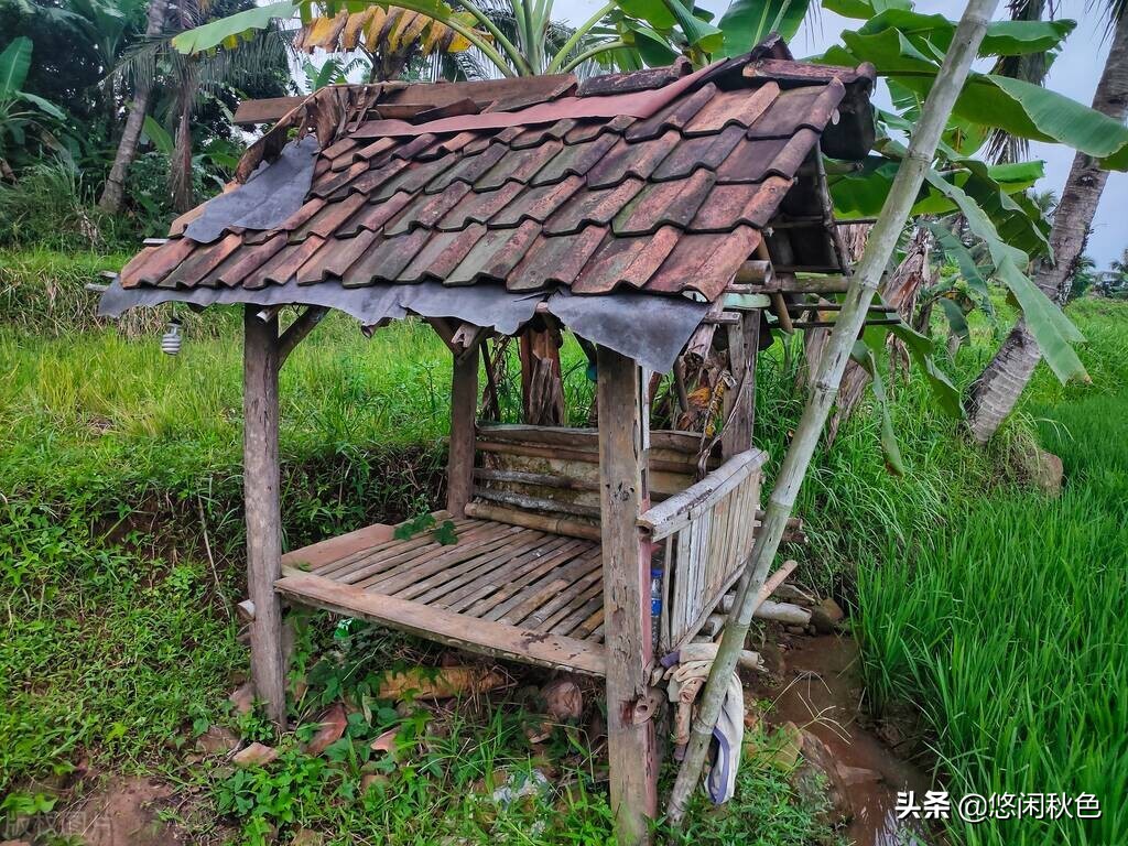 逃离的婚礼,逃离的婚姻小说