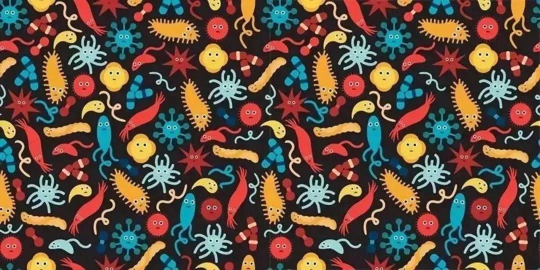 肠道菌群讲解视频,如何入门肠道菌群研究