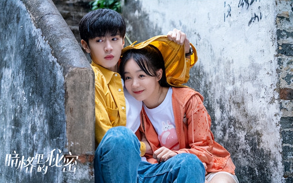 青春偶像小说改编电视剧有哪些,又一部小说改编的校园青春剧来袭