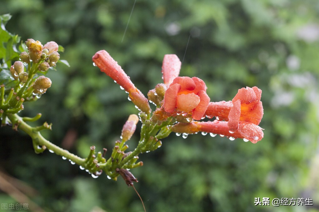 手指湿疹合并汗疱疹,湿疹和疱疹同时有怎么治疗