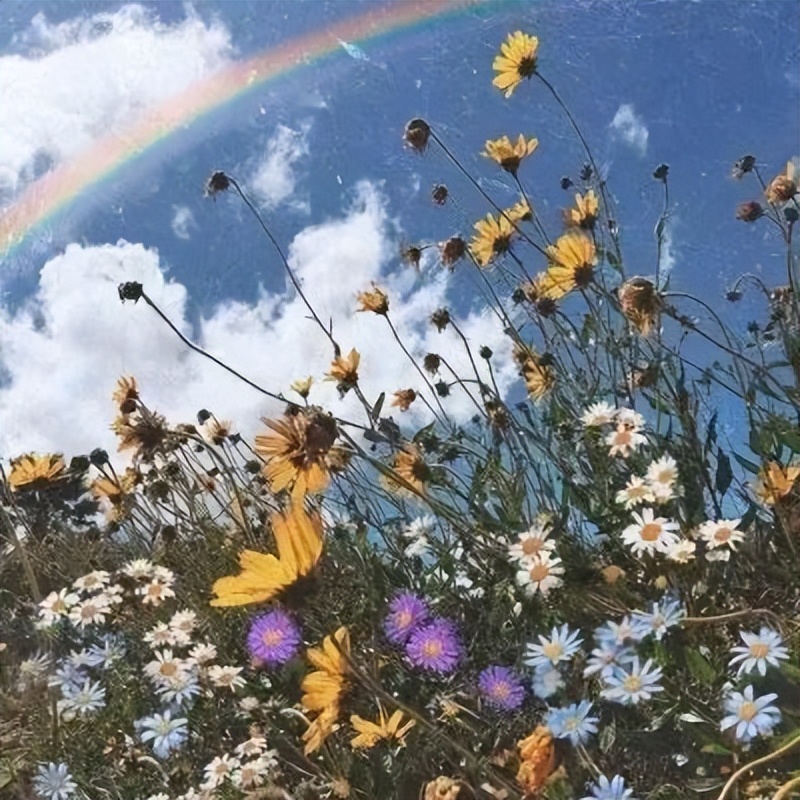微信背景图风景高级,背景图单调风景
