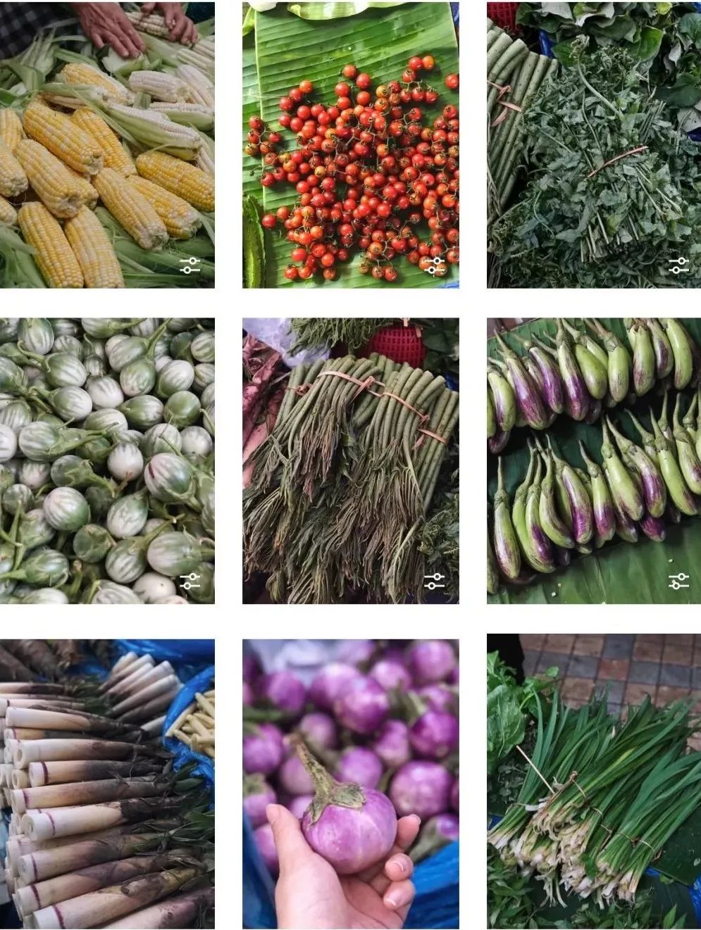 当一个南方人在北方吃西瓜,当一个南方人在北方点一个菜