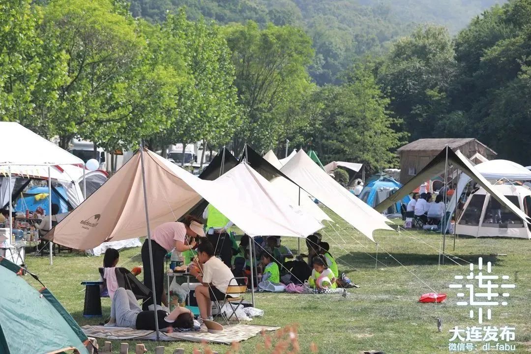 “你好，辽宁！你好，大连！”国内外网络名人、记者在这里读懂中国式现代化