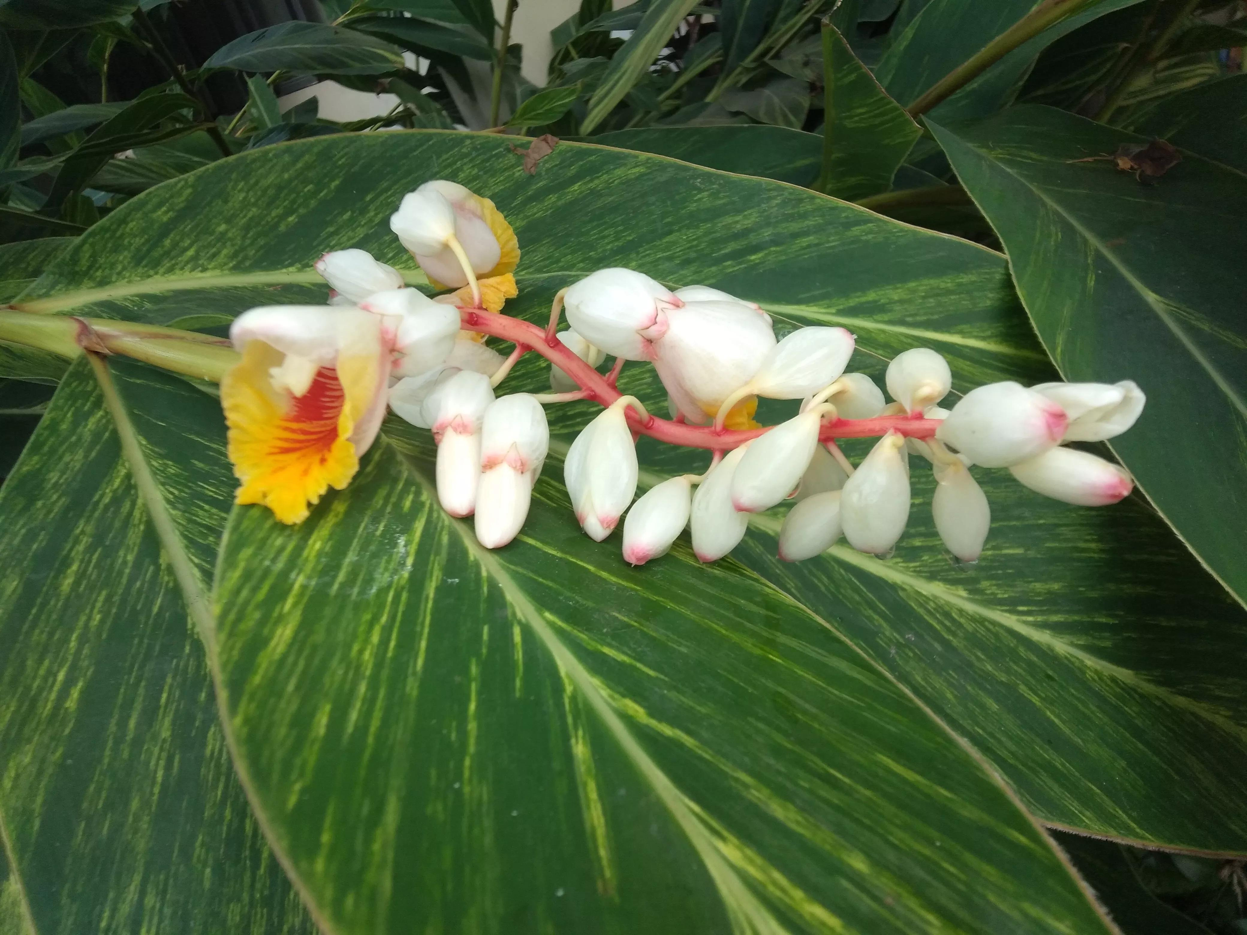 自行车丢了报警找回几率多大,丢了多年的自行车找到了