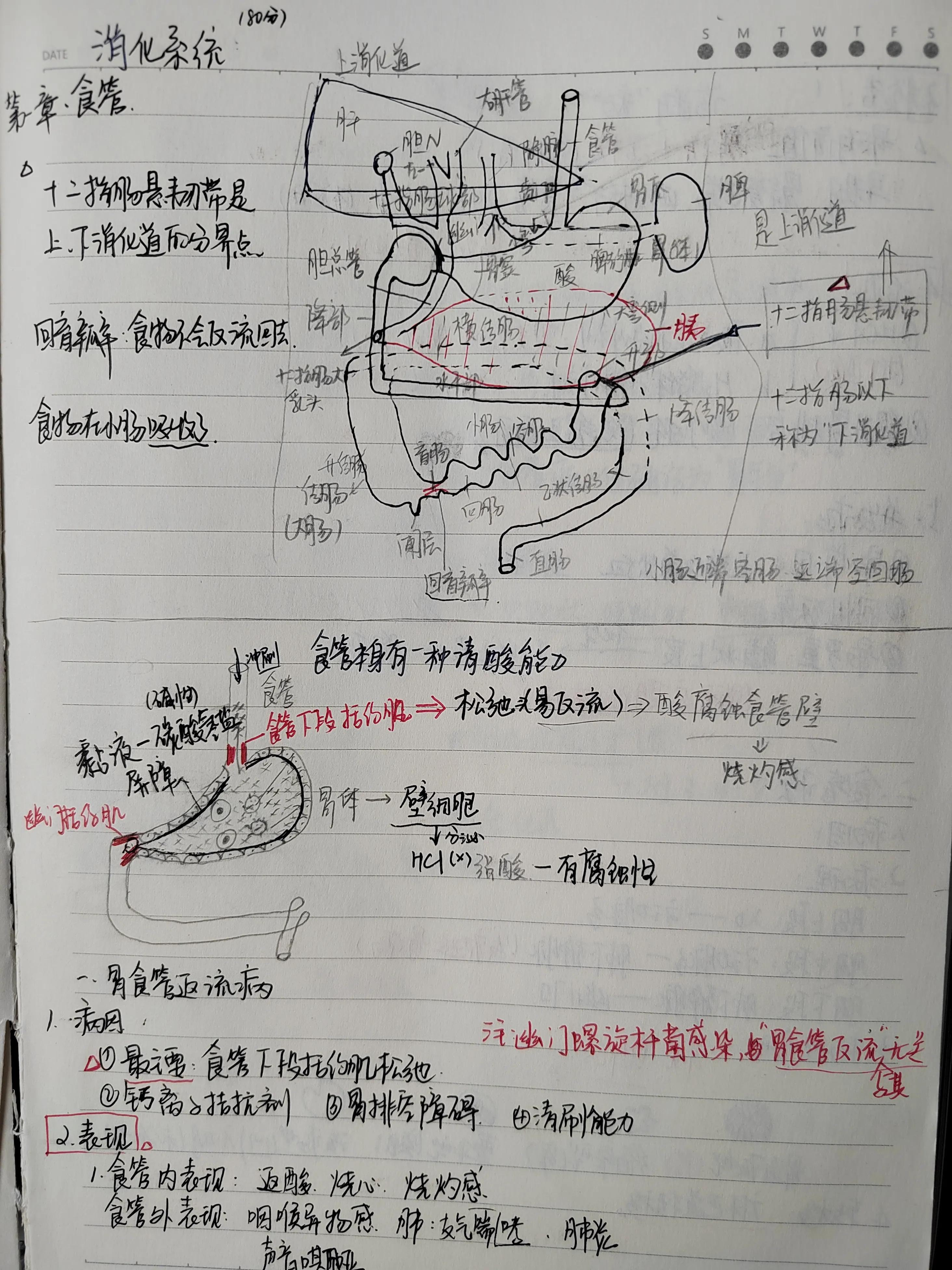 2022年中医执业助理医师考试大纲,2022年助理医师报考执业医师条件