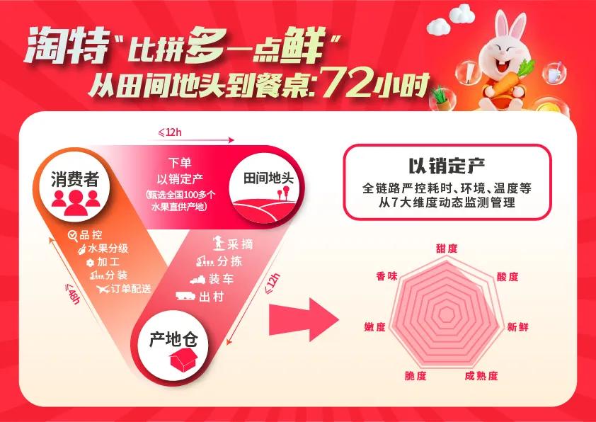 淘特2021：性价比之王“出淘”与下沉