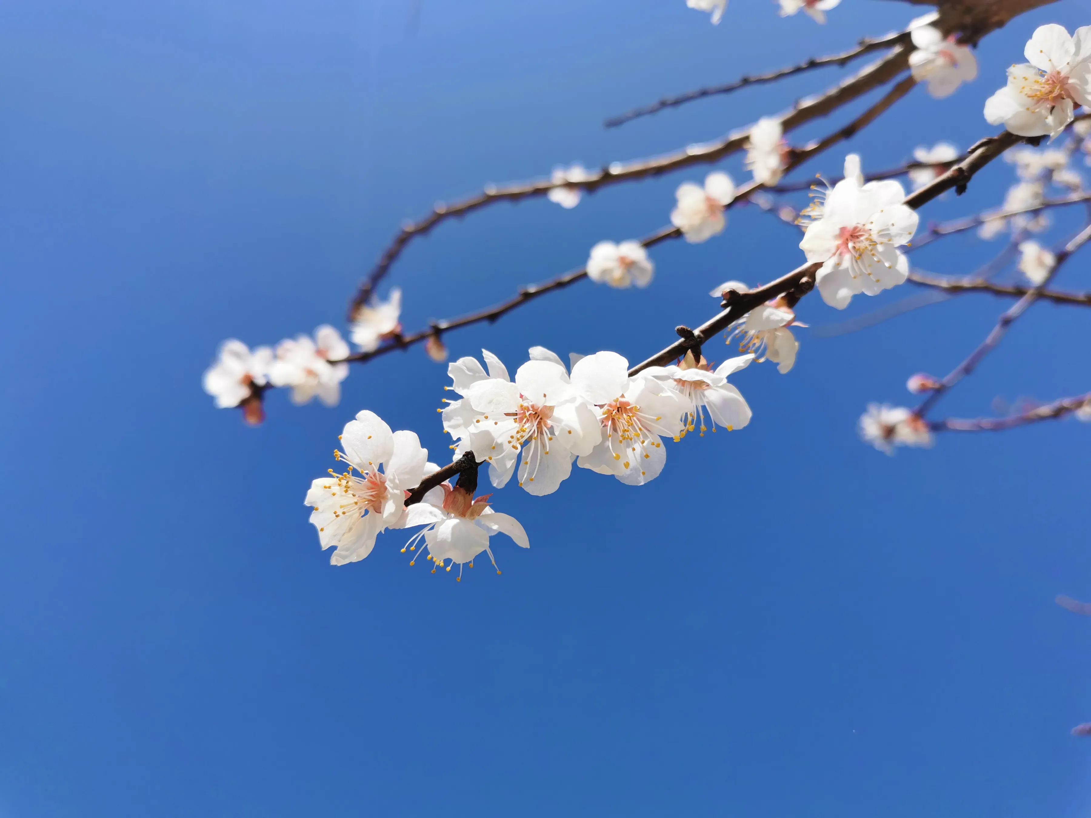 手拍世界近期作品,手拍世界完整版视频