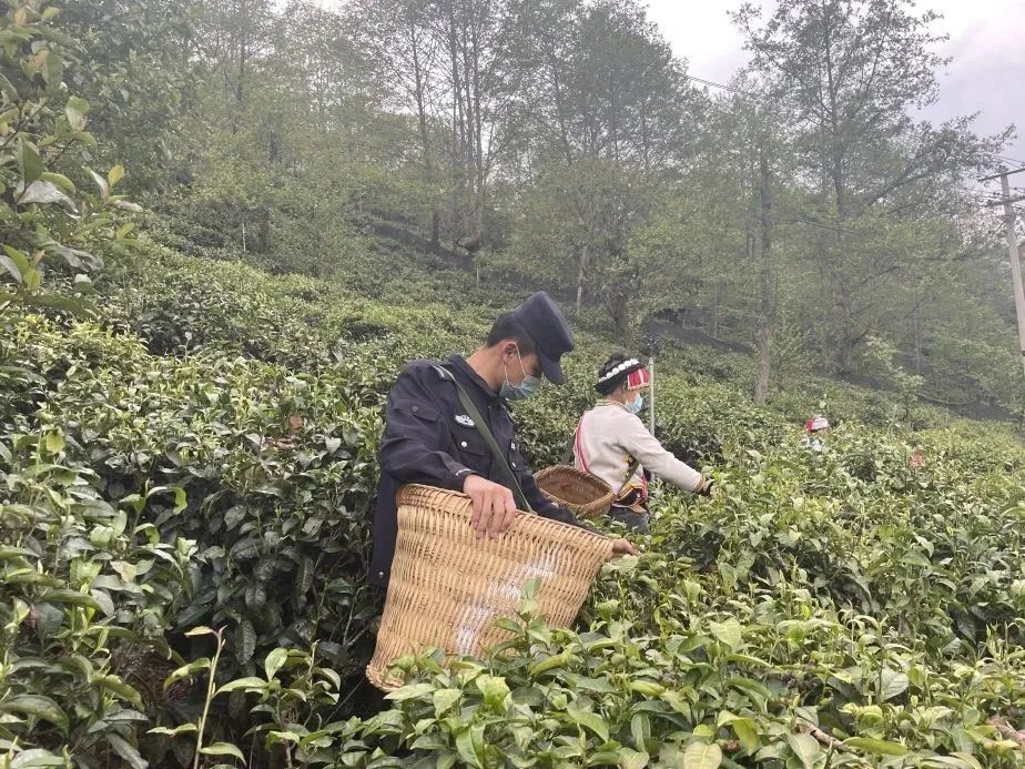 有一种叫云南的生活,有一种生活叫云南的生活