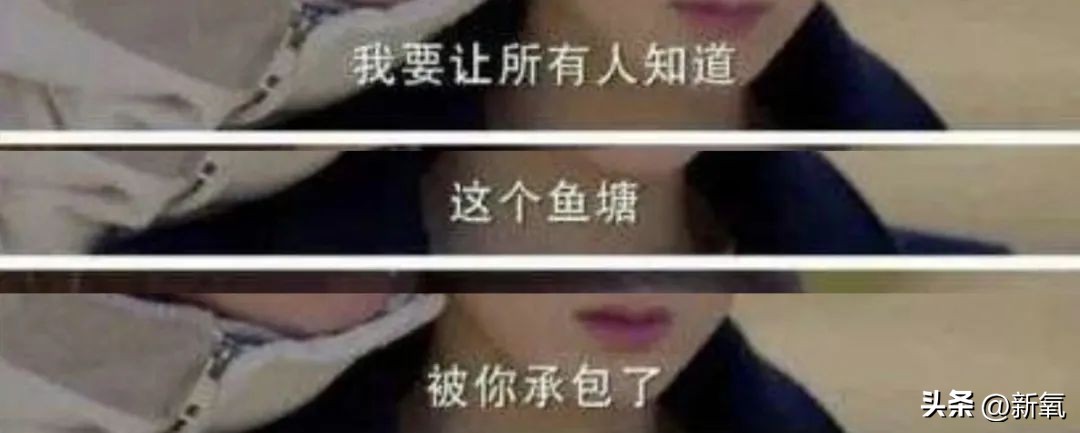 椰树财阀审美,财阀的眼光和椰树集团的审美