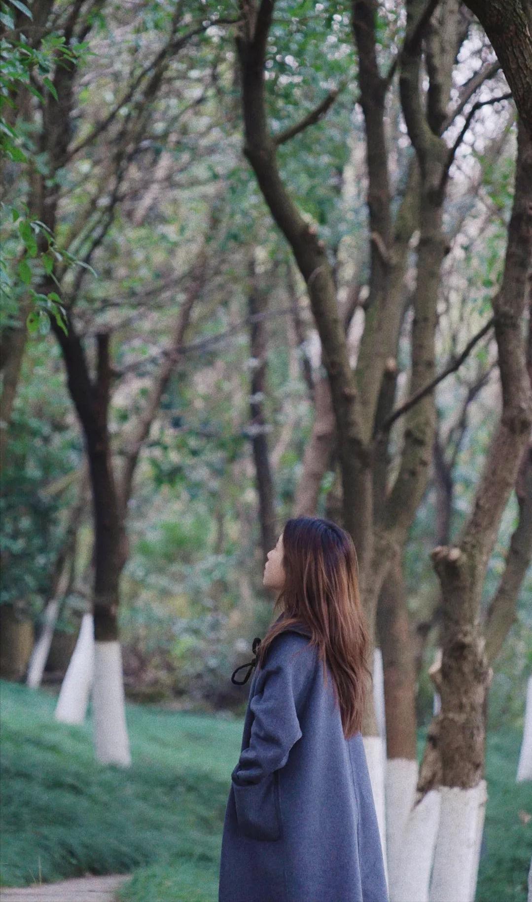 必去的苏州十大最美园林,来苏州必逛的四大园林