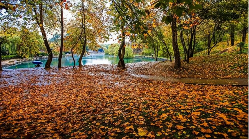 诗溢古风，畅享秋韵。秋已暮、红稀香少