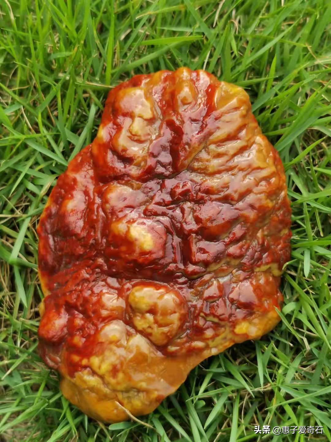 最值钱的黄蜡石奇石,黄蜡石奇石价值10万以上的