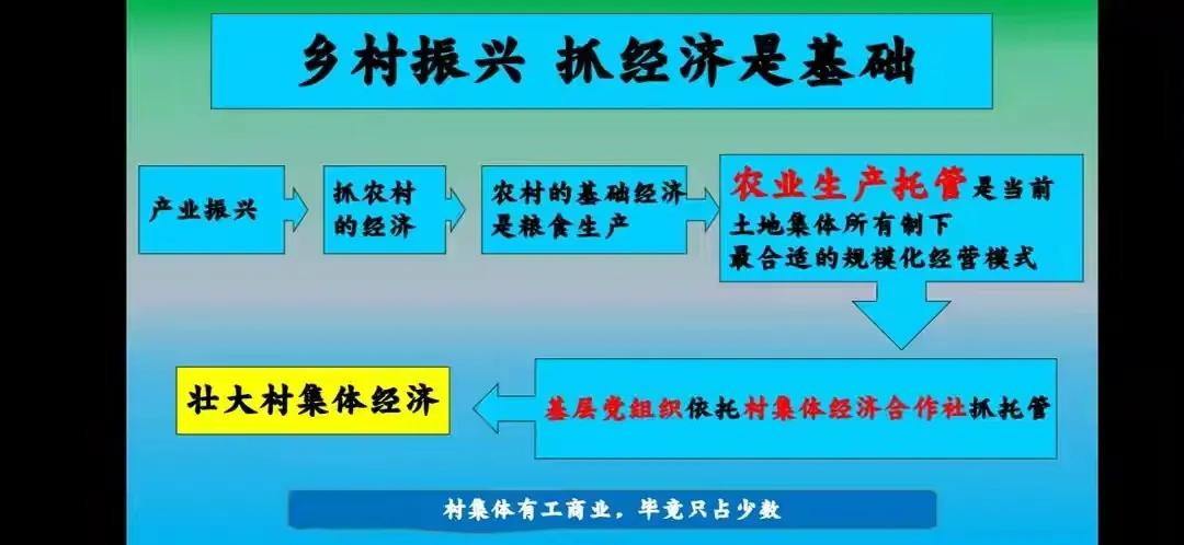 现代化农业生产经营模式,农业农村托管新模式
