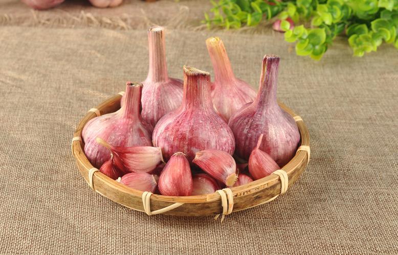 大蒜是肝病的良药还是杀手,大蒜是肝的催命符什么意思