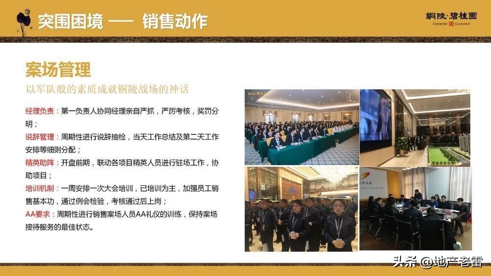 碧桂园房地产竞品分析,碧桂园房地产价格策略