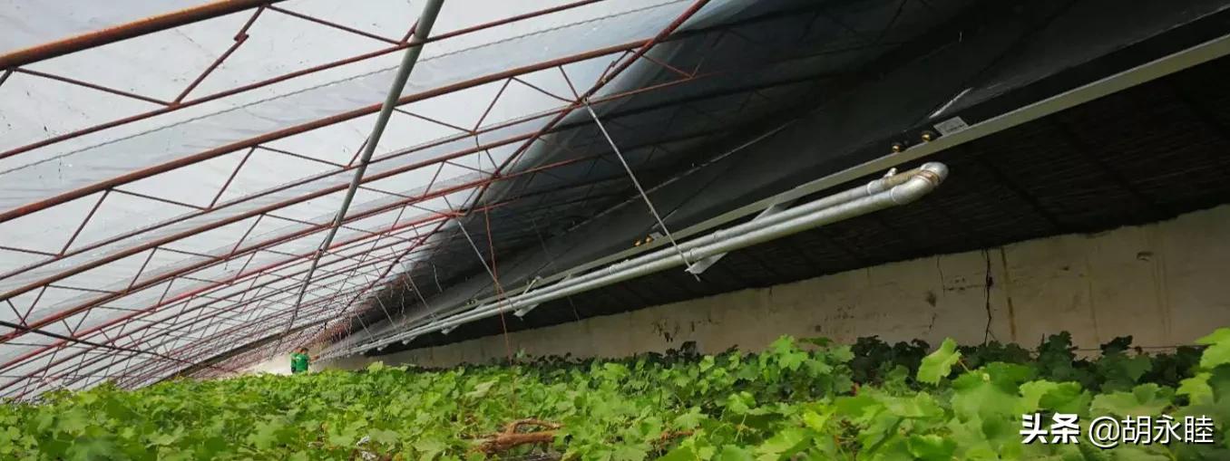 太阳能光热成本估算,太阳能光热的优缺点