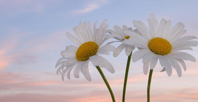 婆婆带着孙子来伺候我坐月子,婆婆过来伺候我儿媳妇坐月子