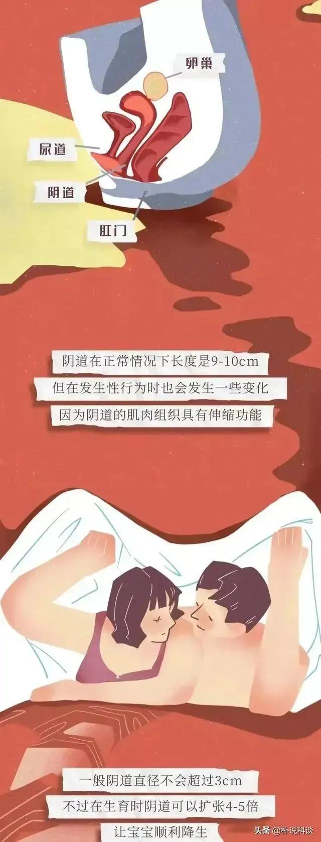 关于阴道的密码男女都要了解下