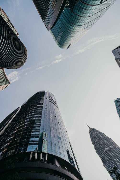 最赚钱的三大行业！短视频带货、电商直播，低碳经济成赢家