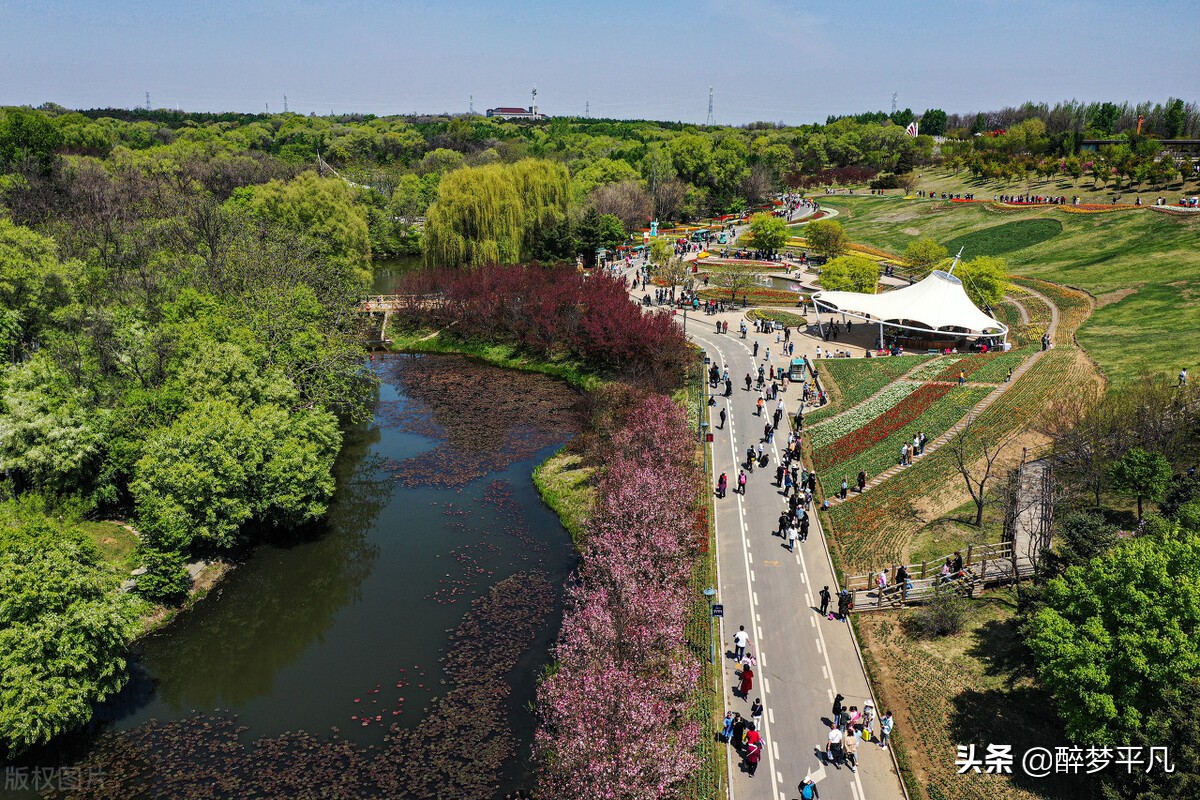 沈阳植物园沈阳世博园,沈阳世博园和植物园区别