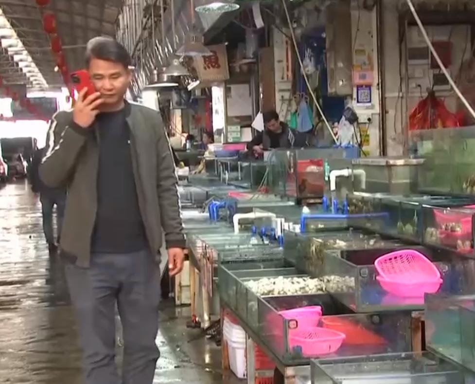 养殖罗非鱼一年赚500万,凤台县大棚养殖罗非鱼