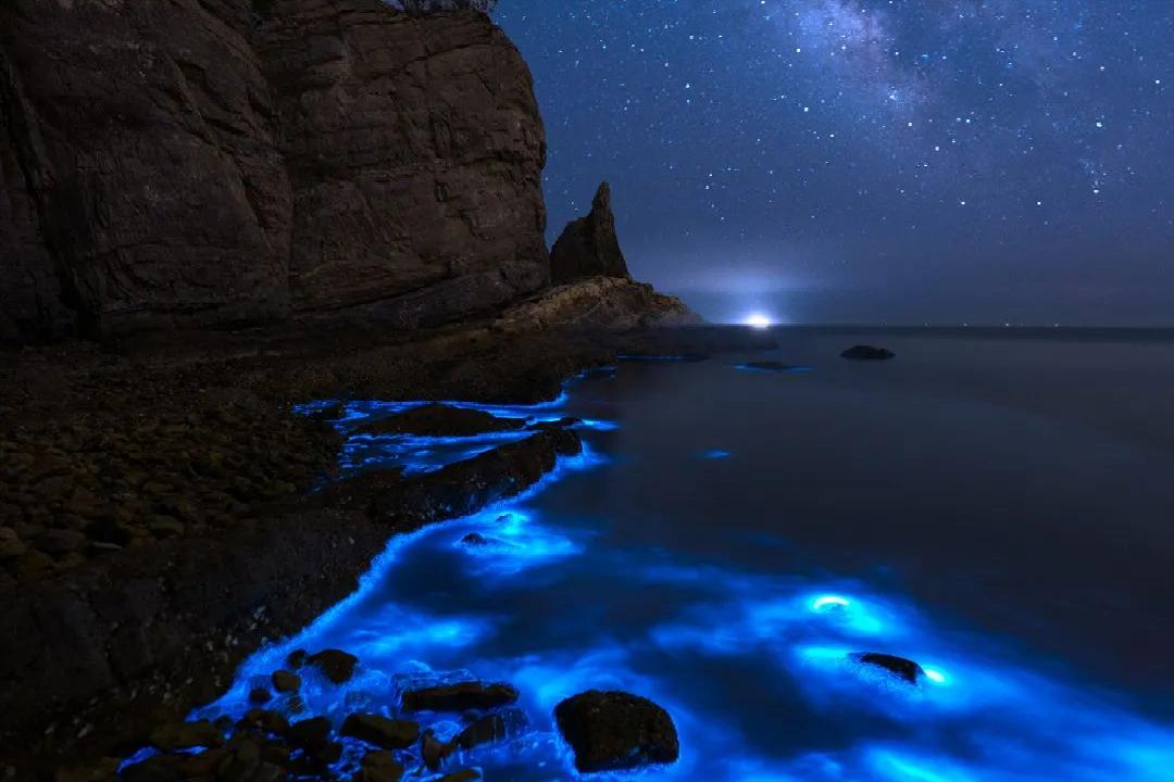 天津东疆港蓝眼泪出现时间,游玩天津东疆港攻略