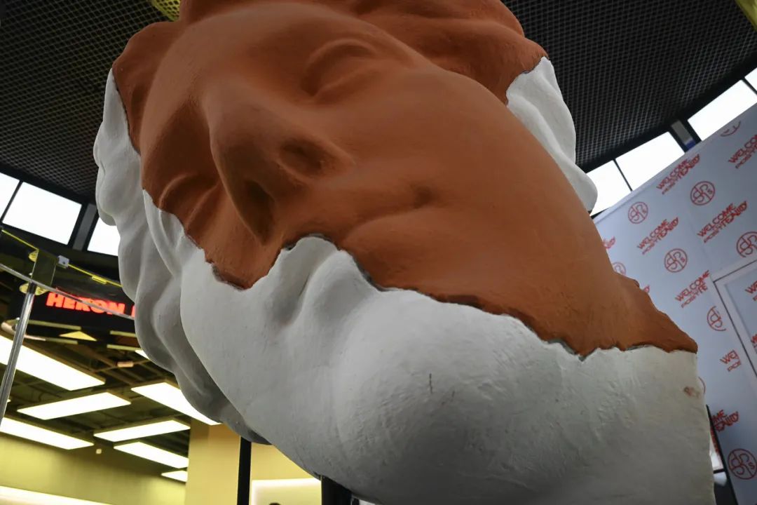 尼康z30样片对比,尼康z30开箱vlog