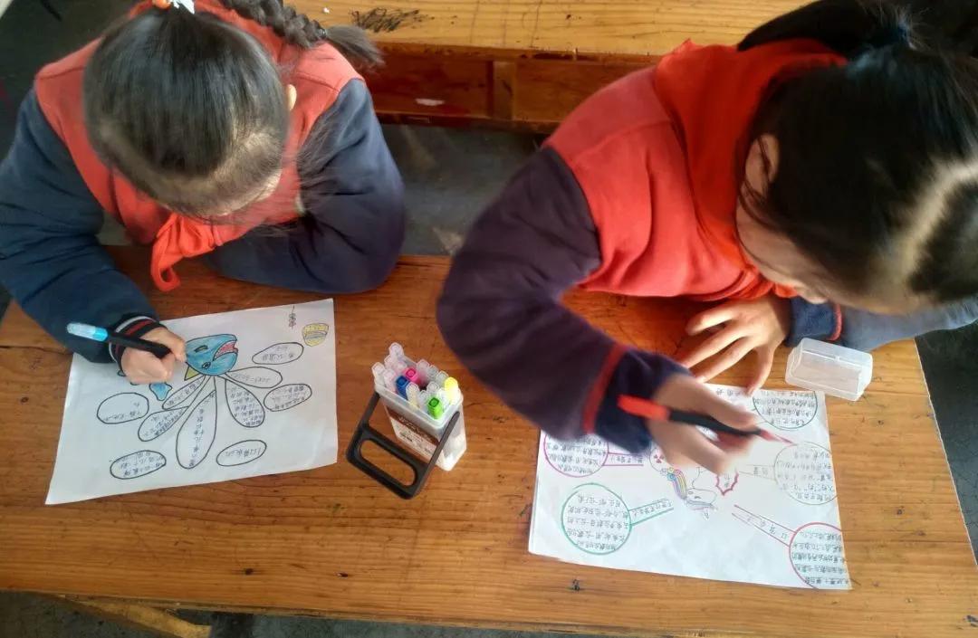 小学思维导图活动方案,小学生开展思维导图活动总结