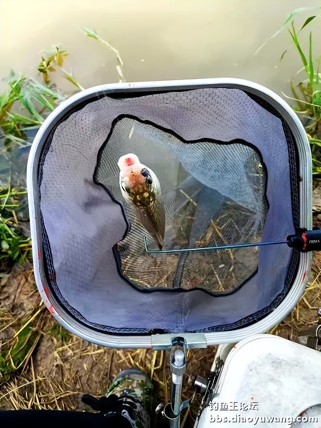 双铅钓流水要用吃铅大的漂吗,双铅跑铅真的抗流水吗