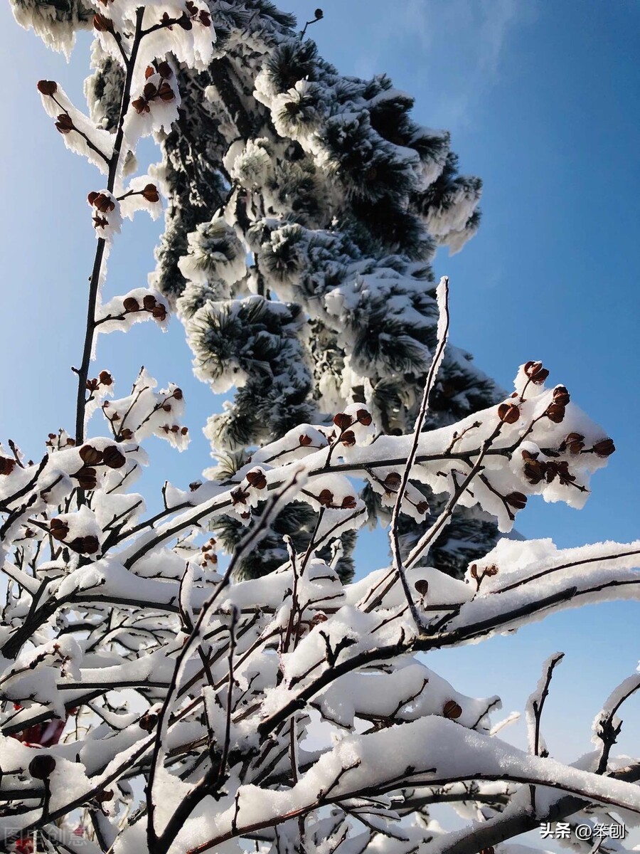全面放开“大势所趋”，消除恐慌更是势在必行