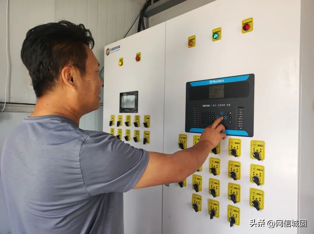 “一键养鸡”？城固县这个镇奏响蛋鸡养殖致富曲→