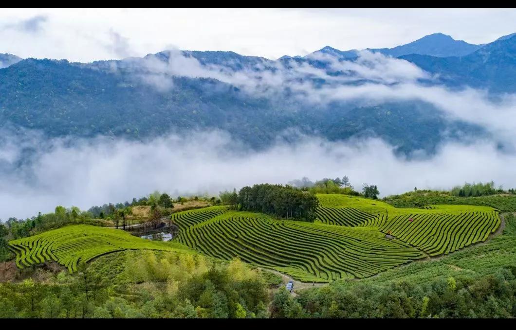 泰顺国宏实业有限公司