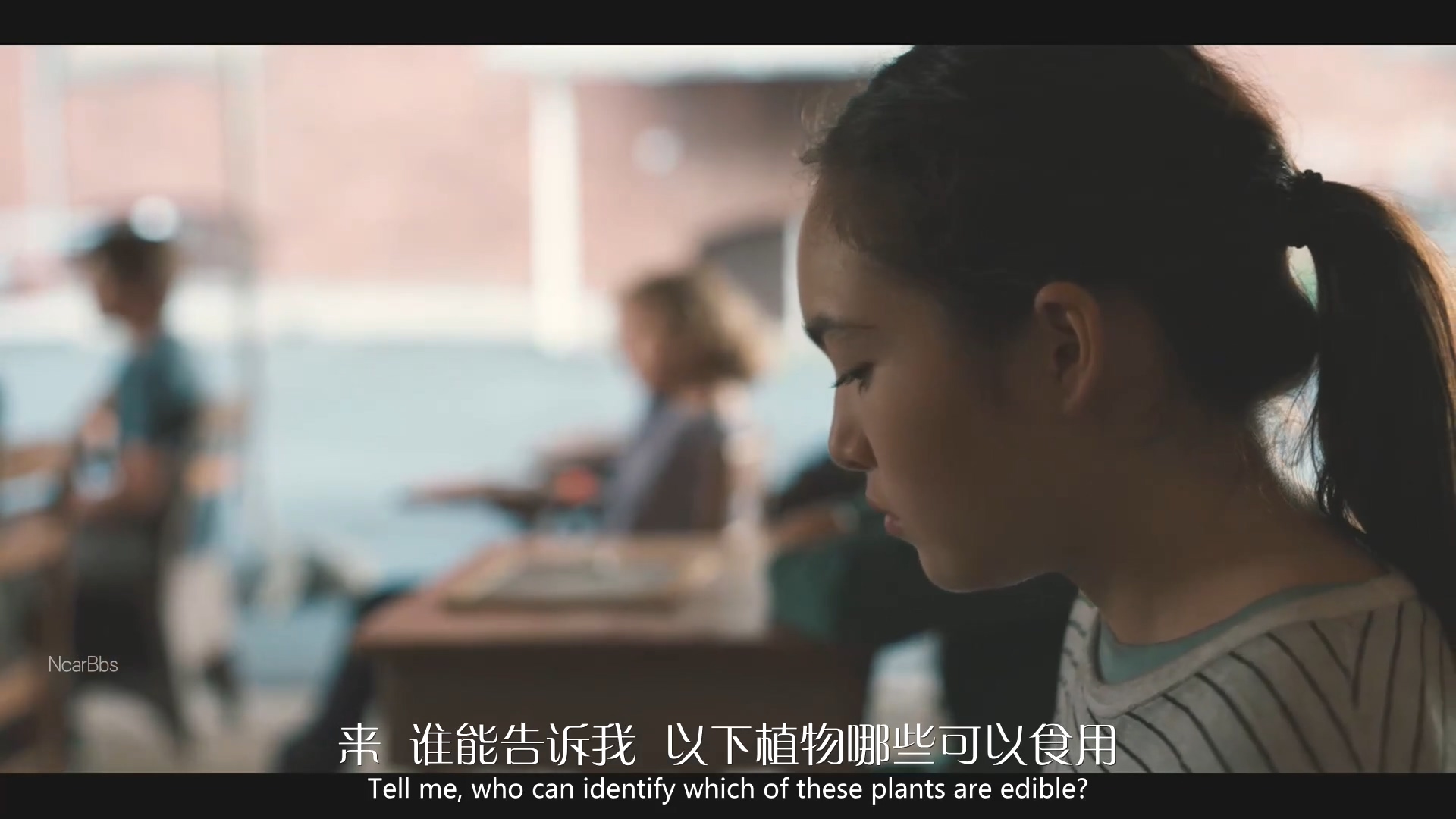 行尸走肉爆发前的故事,行尸走肉十大感人情节