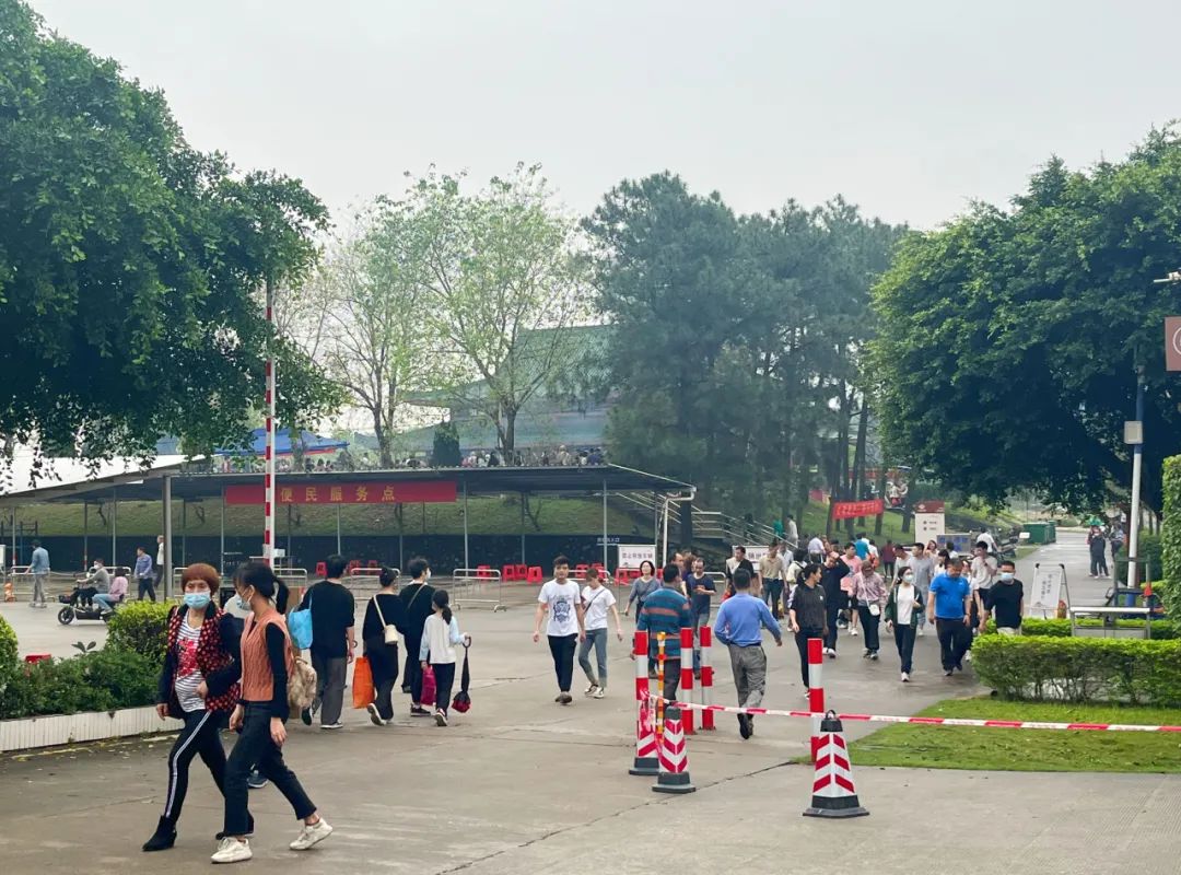 佛山南海清明预约祭扫最新消息,佛山清明祭扫最新通知